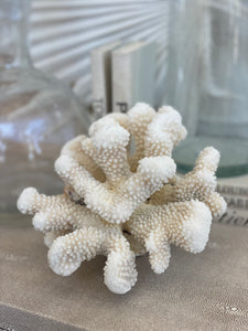 Cali Corals